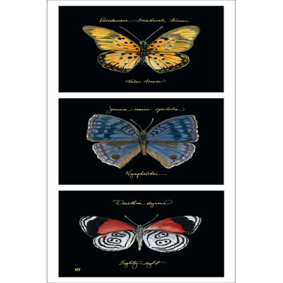Primary Butterfly Panel II by Ginny Joyner - Wrapped Canvas Print