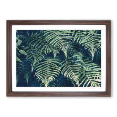Fern Leaves Vol.1 - Framed Print