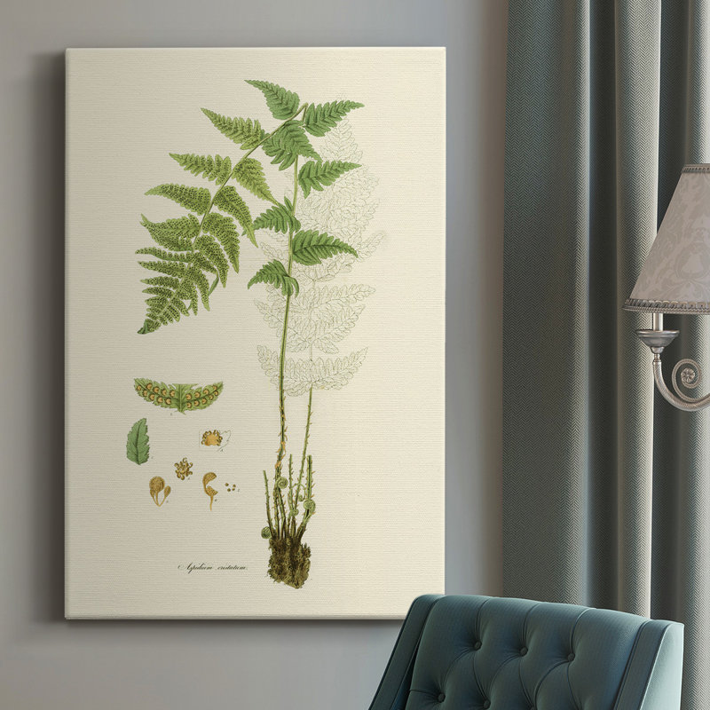 Curtis Ferns I - peinture sur toile tendue, H 36 po x l 24 po x P 1 po