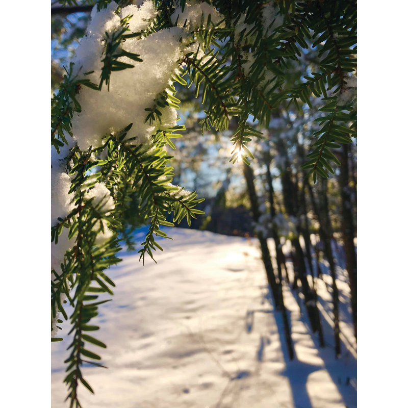 Couverture hivernale - photographie, H 24 po x l 18 po x P 0,15 po, Papier, Pas de tapis