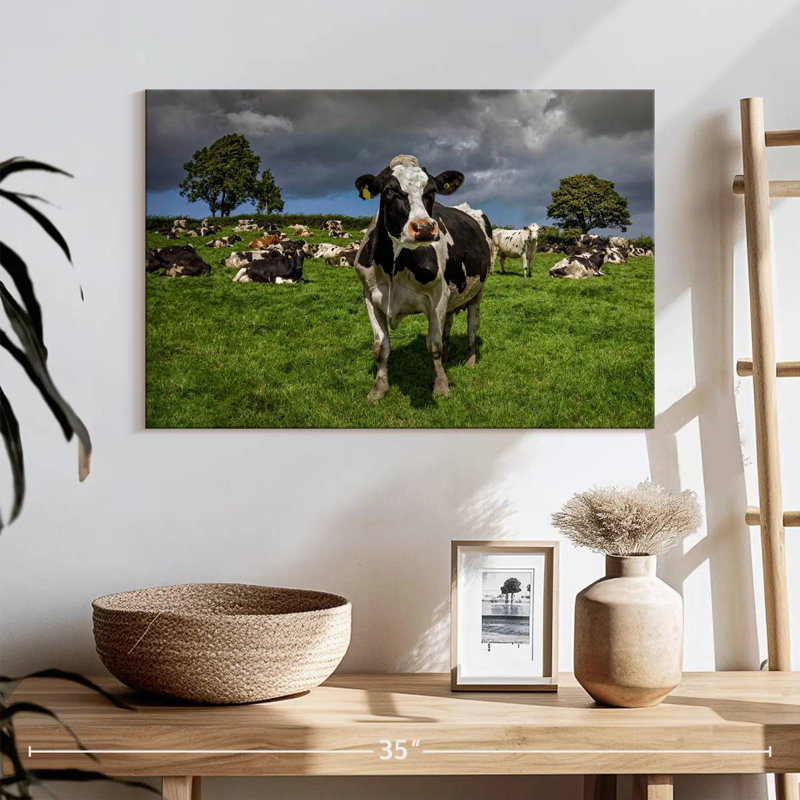 Brampt Holstein Cow, 16" H x 24" W