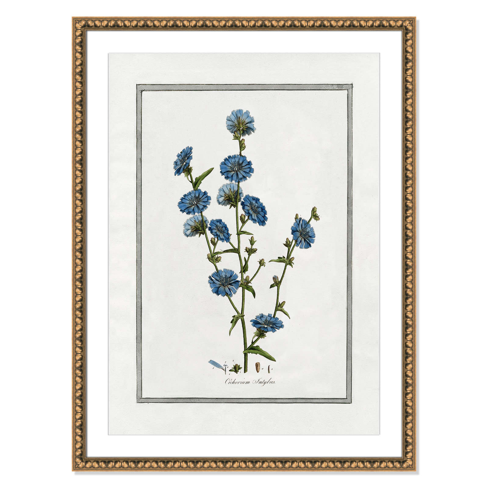 Colombe "Soft Botanical I" Print, Gold Bead Framed, 26.5" W x 36.5" H