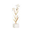 Carnation On Alabaster Stand