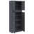 Anthracite