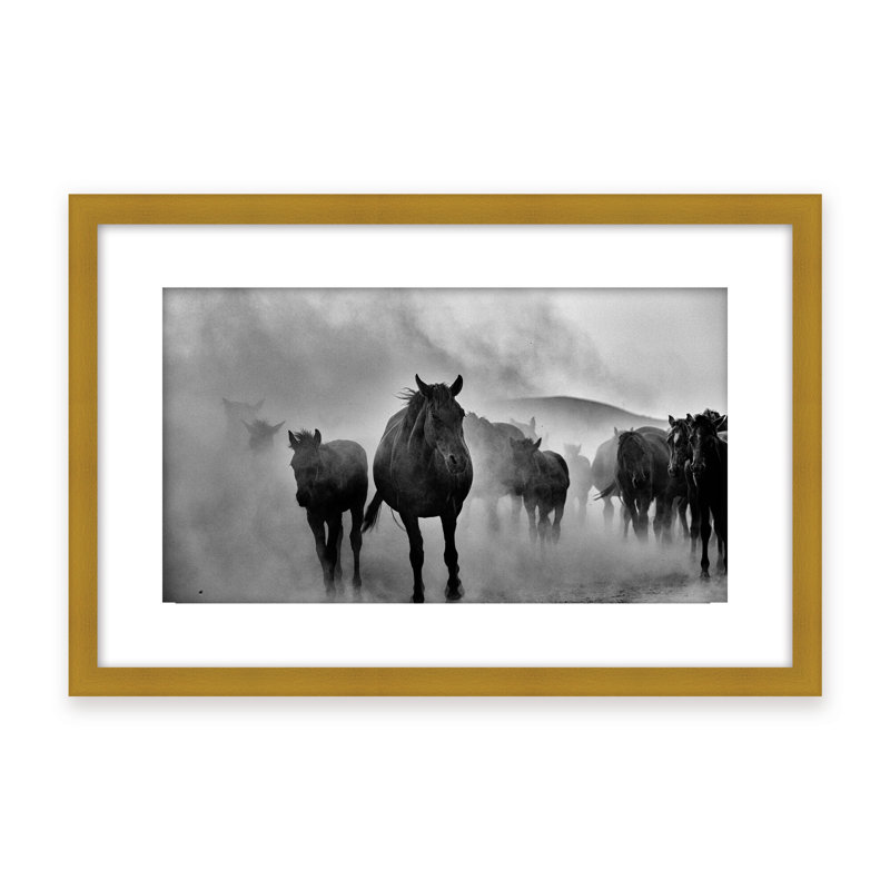 Nature Inspired Untitled by - Picture Frame Photograph on Paper, 32" H x 48" W x 1.125" D, Black, Framed Matted Print
