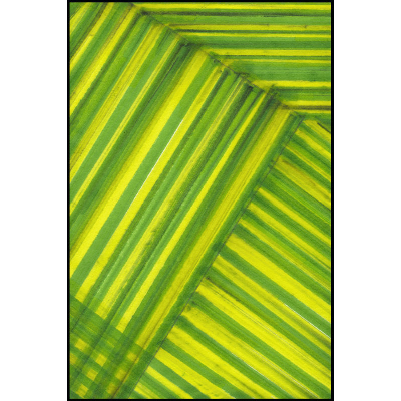 Line Study Green - Wrapped Canvas Painting, 46cm H x 30cm W