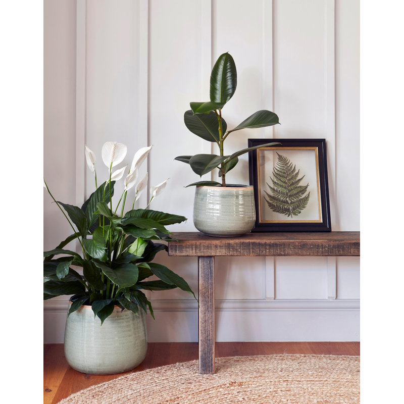 Indoor Planter, Reactive Glaze Como Pot, Mint, 17cm H x 21cm W x 21cm D