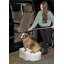 Escalier pour animal 1 marche