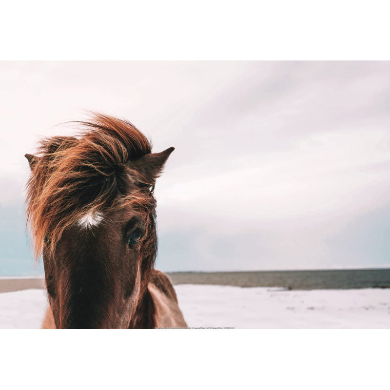 Horse With Hair Blowing In The Wind - Wrapped Canvas Art Prints, 30cm H x 46cm W