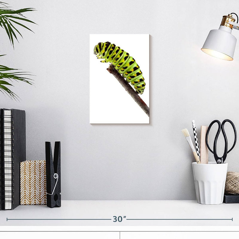 Chenille verte, H 12 po x l 8 po