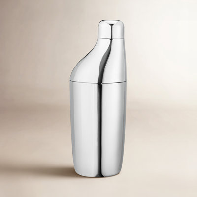 Sky Stainless Steel Shaker