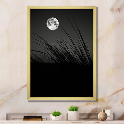 Ivoire, isolement au clair de lune