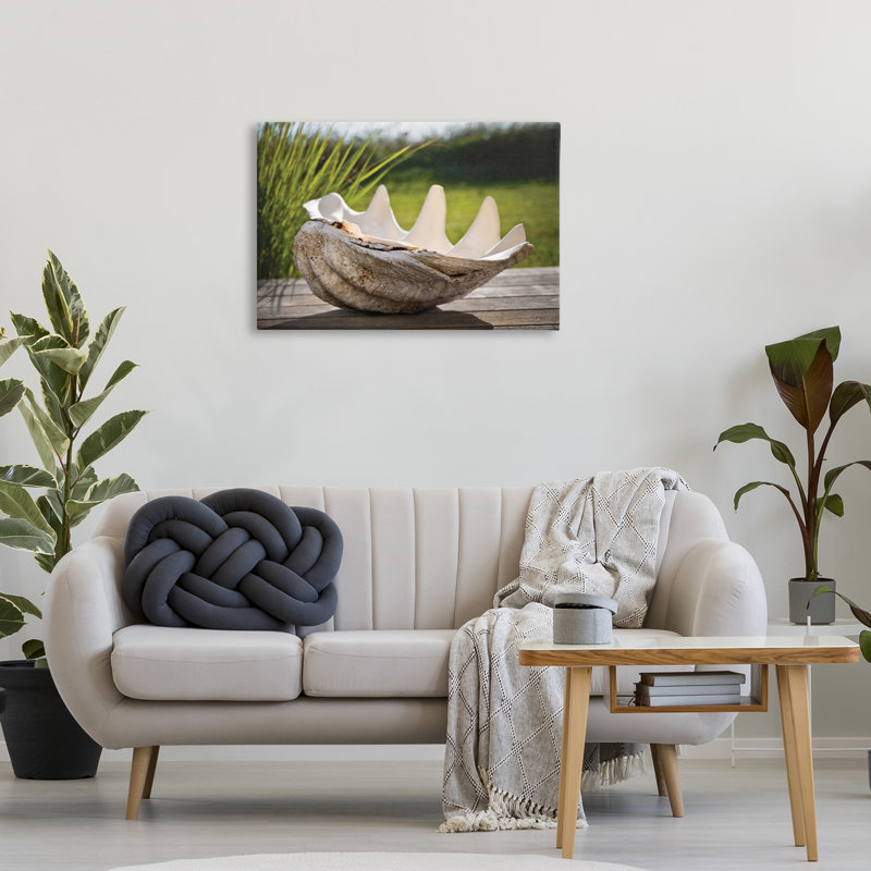 Toile de coquillage Sea Treasure, design par Seven Trees Design, H 20 po x l 30 po