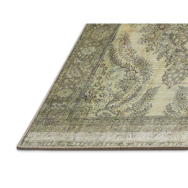 Archie Oriental Indoor Rug, Rectangle 4' x 6'