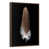 Floating Frame Walnut