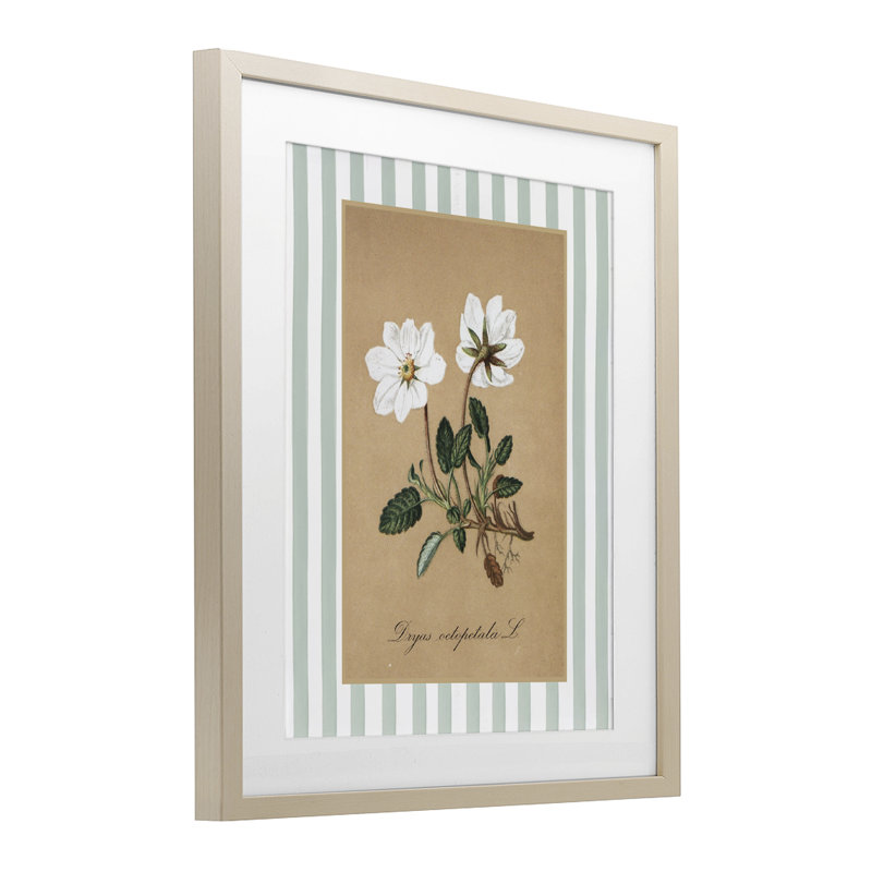 Reproduction sous verre encadrée de fleurs blanches et de rayures vertes, par lettrage et doublure, Cadre de récolte en pin