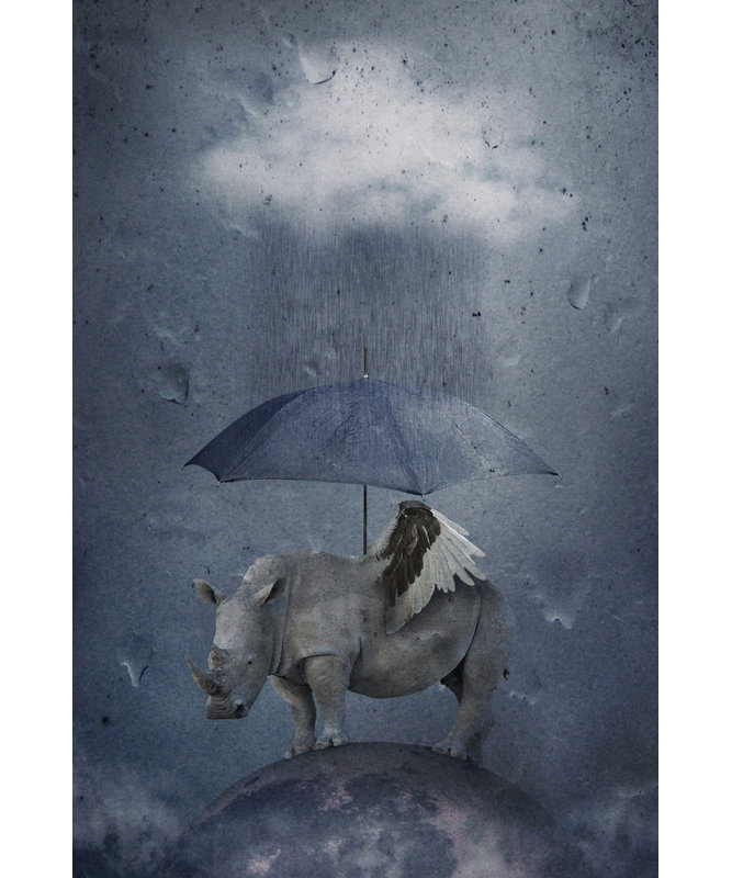 Wrapped Canvas Print
