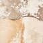 Harland Cowhide Animal Print Area Rug in Ivory