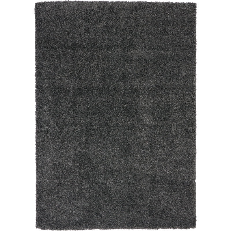 Tapis gris à poils longs Sunny, Rectangle 6 pi 7 po x 9 pi 6 po