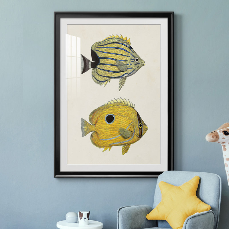 Poisson jaune et gris III - impression, H 36,5 po x l 26,5 po x P 1 po, Cadre noir