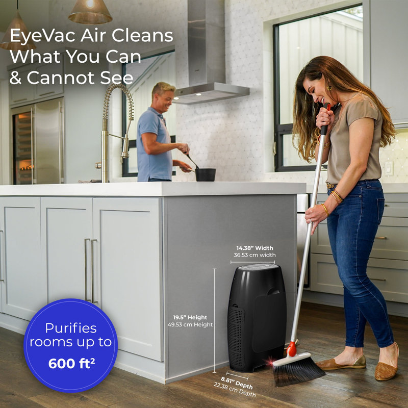 Le seul purificateur / désodorisant et aspirateur d'air 2-en-1, noir