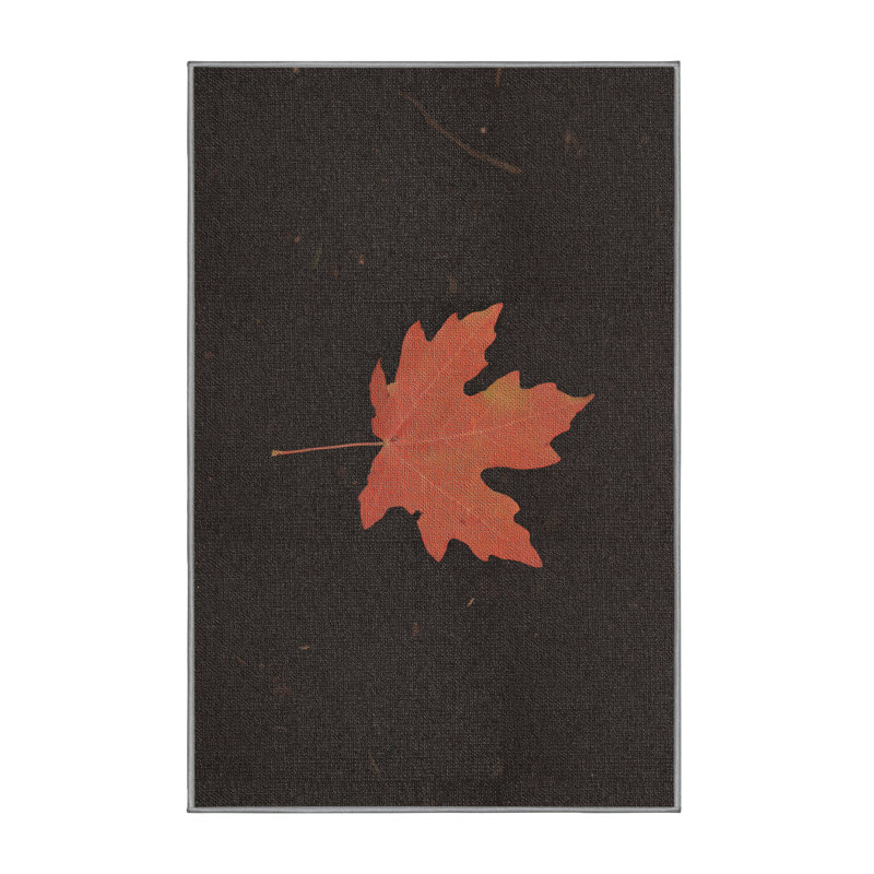 Tapis de zone noire feuille 41, Rectangle 2 pi x 4 pi