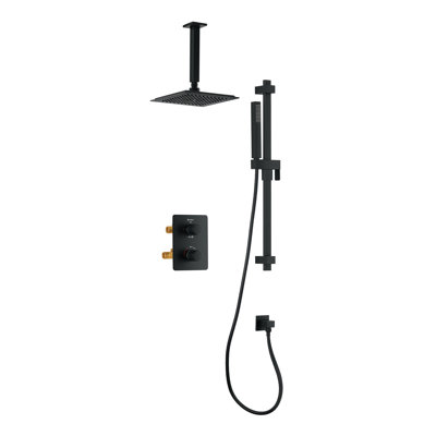 Robinet de douche à double fonction avec valve brute