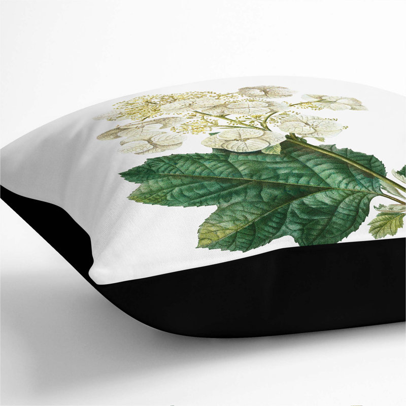 Oakleaf Hydrangea by Pierre-Joseph Redoute Cushion with Filling, 40cm H x 40cm W x 15cm D, Black