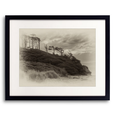 Windswept Print by Tom Kostes