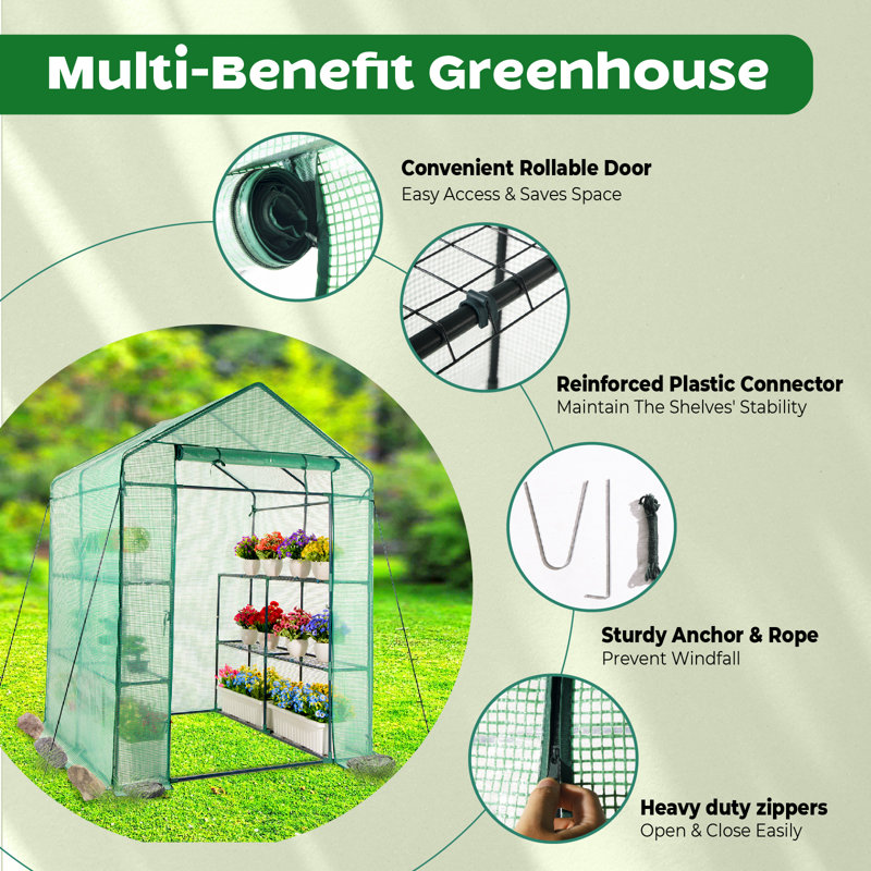 Green Walk-In Greenhouse with PE Cover and Steel Frame