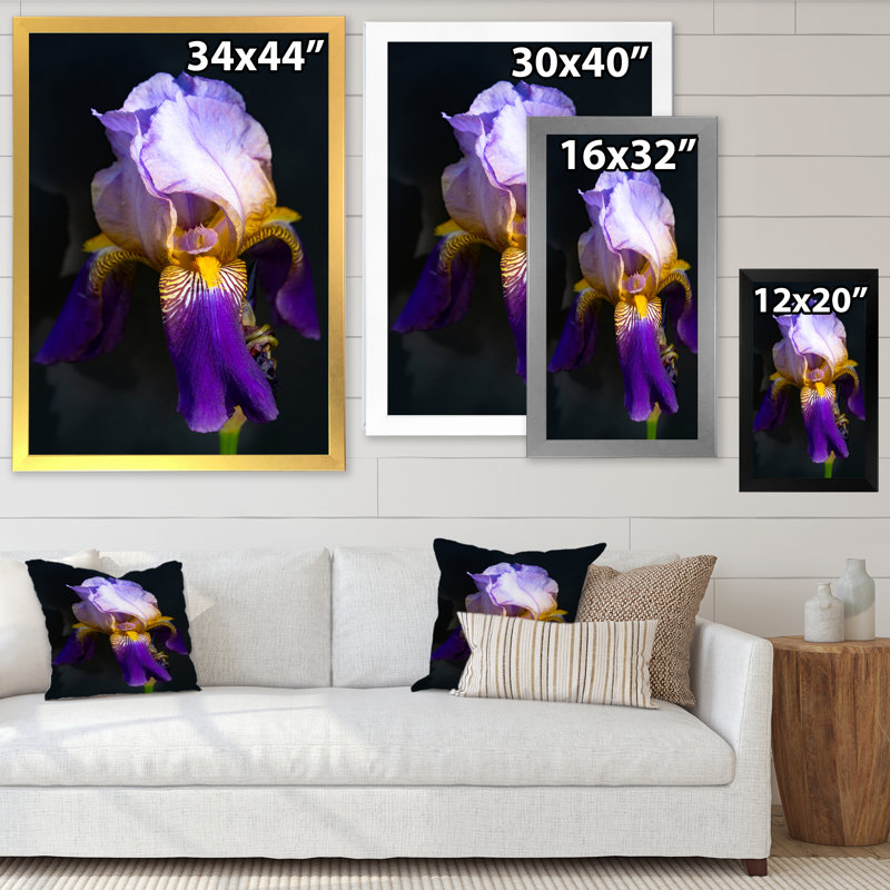 «Tao Iris Series Iris Flower», décoration murale moderne sur toile, Cadre noir, H 20 po x l 12 po x P 1 po