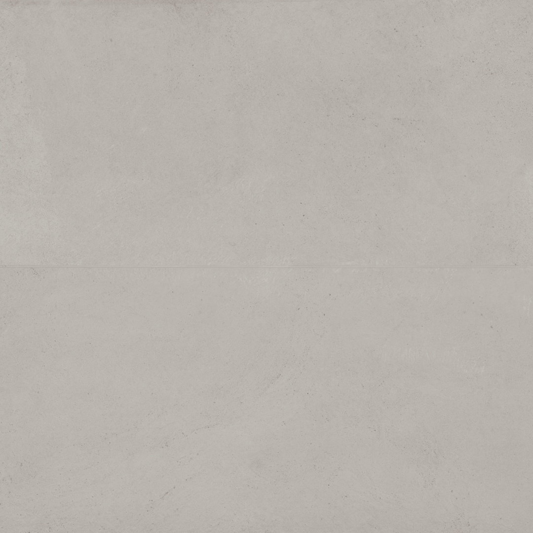 Thaddeus 24" x 48" Matte Porcelain Wall & Floor Tile (Set of 2) Bedrosians 