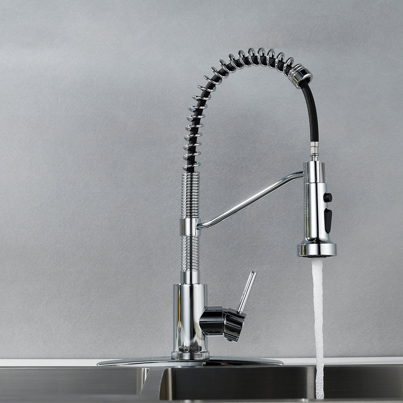 FORIOUS Pull Out Kitchen Faucet with Accessories, Chrome