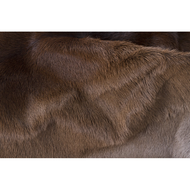 Tapis classique 1 pièce taupe 2 pi x 3 pi Kaynin