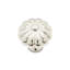 CK Series Knob-12829767-12829770