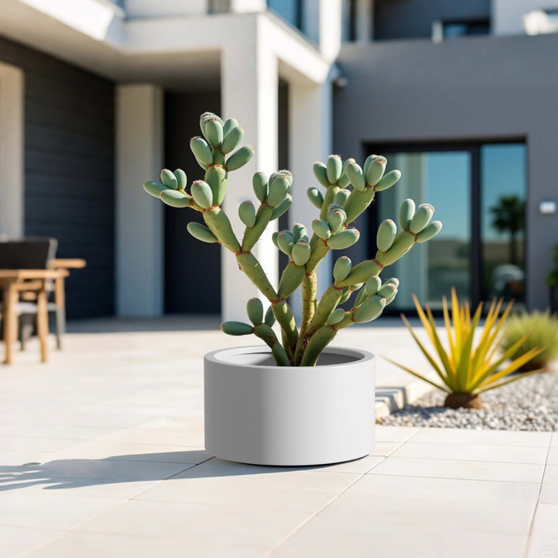 Ensemble de jardin surélevé durable en métal résistant à la rouille pour diverses plantes, Blanc