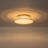 Antique Circular Led Flush Mount Light With Clear Crystals