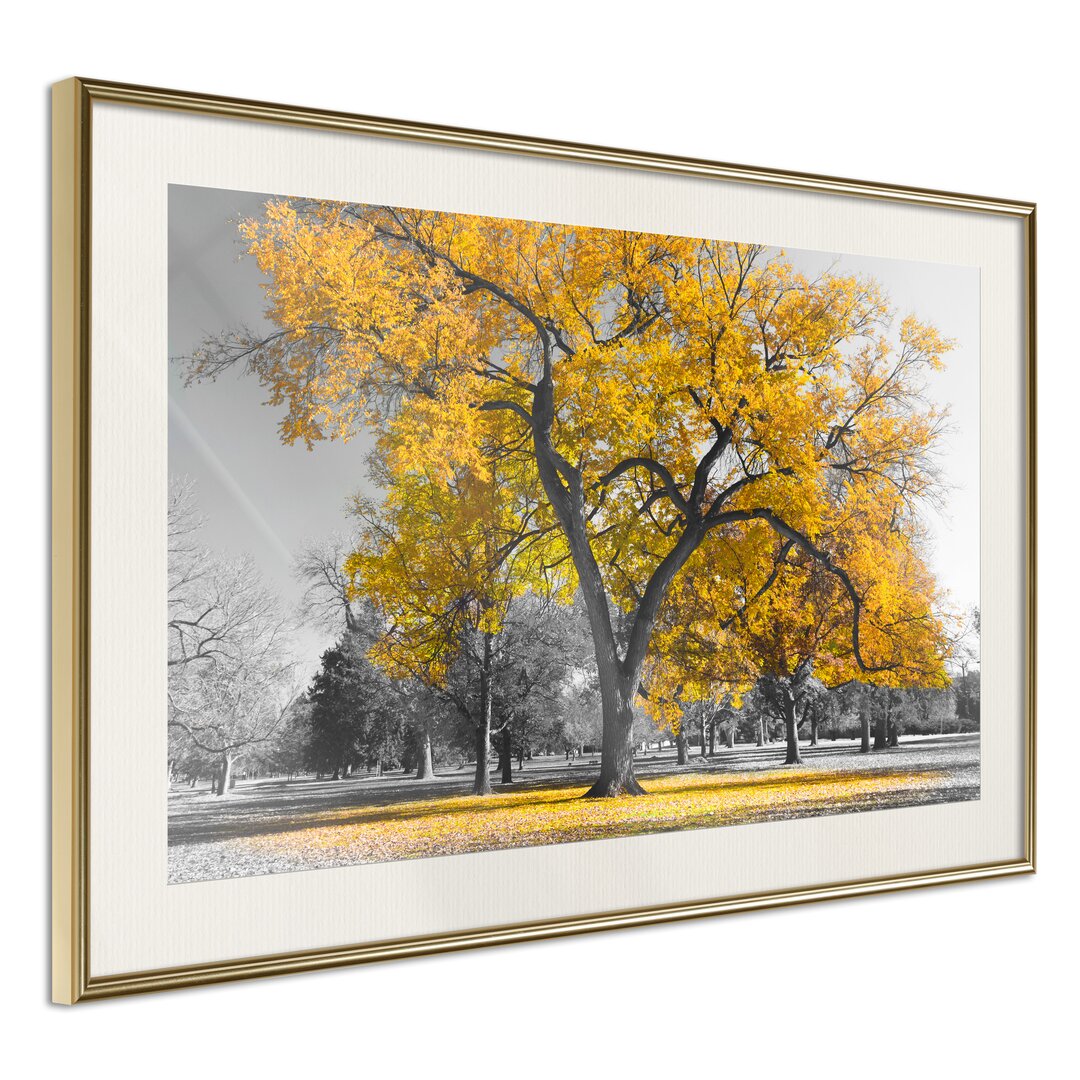 Gerahmtes Poster Golden Tree