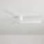 Ceiling Fan-1813133838