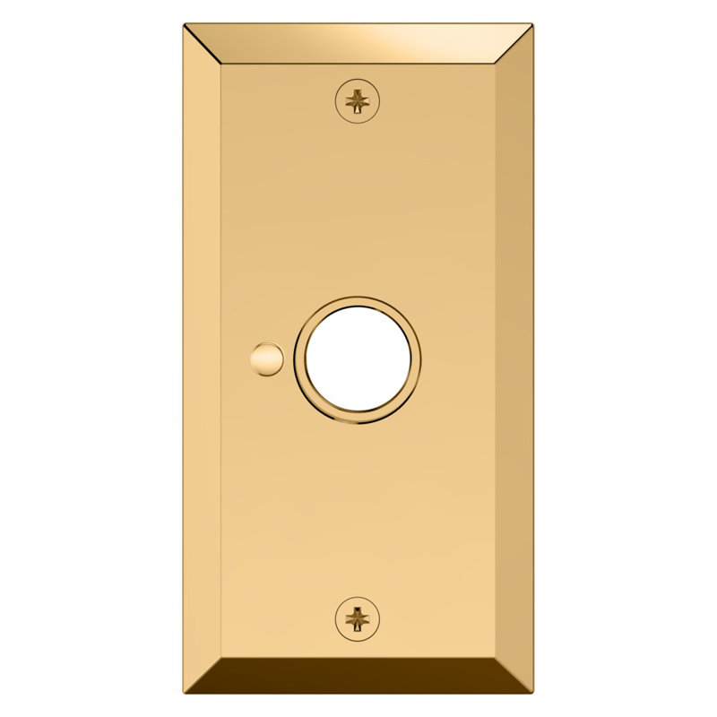 Unlacquered Brass Beveled Rectangular Privacy Rose Plate