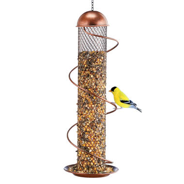 Birds Choice Mangeoire à oiseaux en tube transparent et Commentaires -  Wayfair Canada