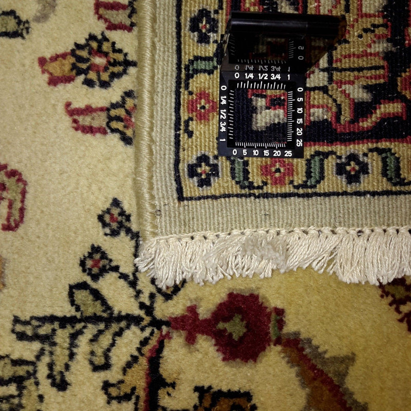 Tapis beige unique de 3 pi x 5 pi Panchita