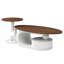 Ensemble de 2 tables basses gigognes-1071989165