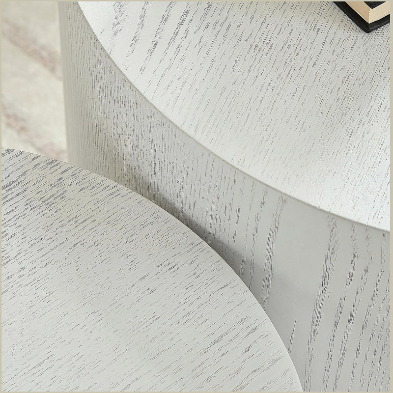 Panneau de fibres à densité moyenne avec placage de frêne / chêne / placage de noyer / table basse / table de bout / ensemble de 2 tables gigognes pour le salon