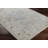 Hoeft Oriental Indoor Rug-191872673