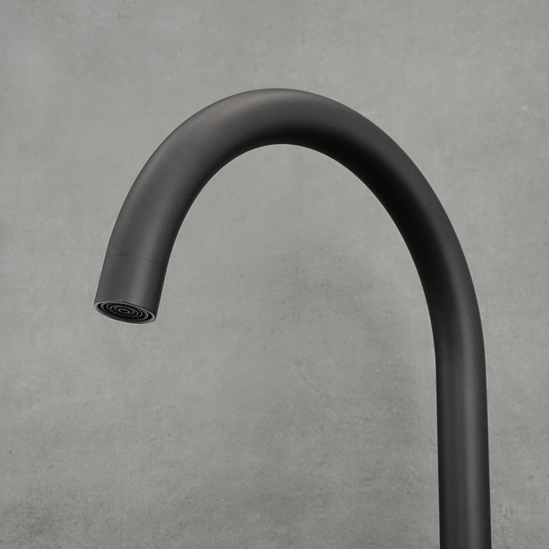 Belfry Kitchen Kitchen Faucet, Black