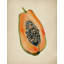 Vibrant Papaya Half by Josie George — Still Life Wall Art-1767287003-1767287006-1767287009