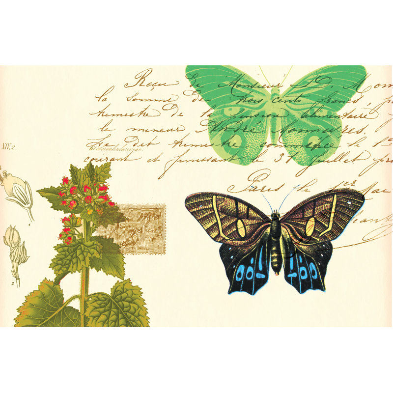 Nature Postcard 2 - Wrapped Canvas Art Prints, 30cm H x 46cm W x 3.8cm D