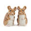 Salt And Pepper - Mouse - Wood Mouse