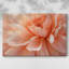 Peachy Petal Poetry II - Gala Cavas-383904475
